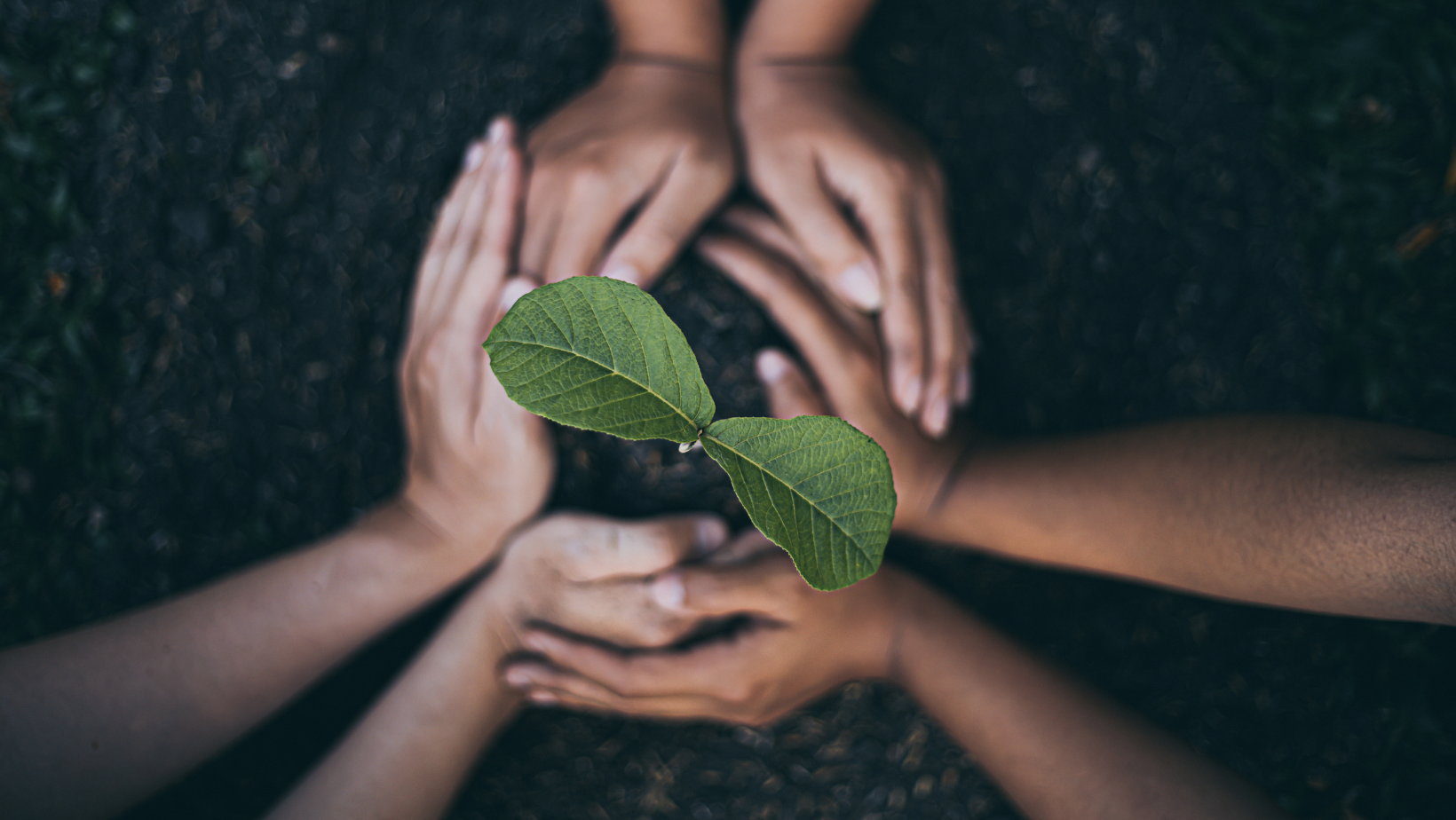 Introduzione sistema di autocompostaggio