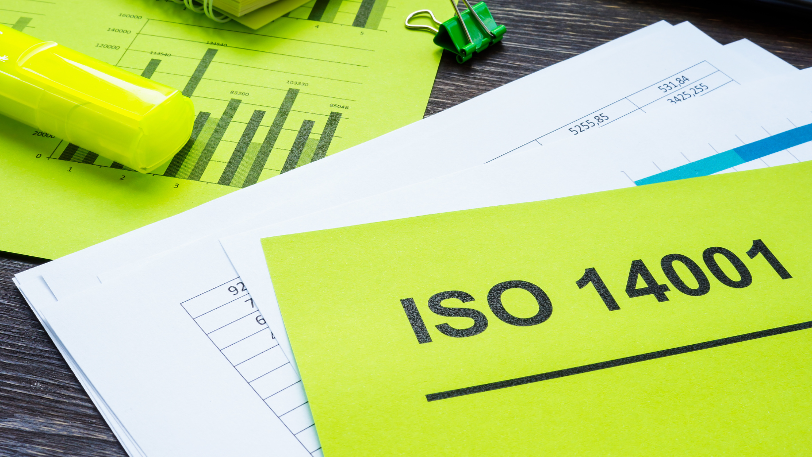 Consulenza finalizzata all’ottenimento della Certificazione ISO 14001