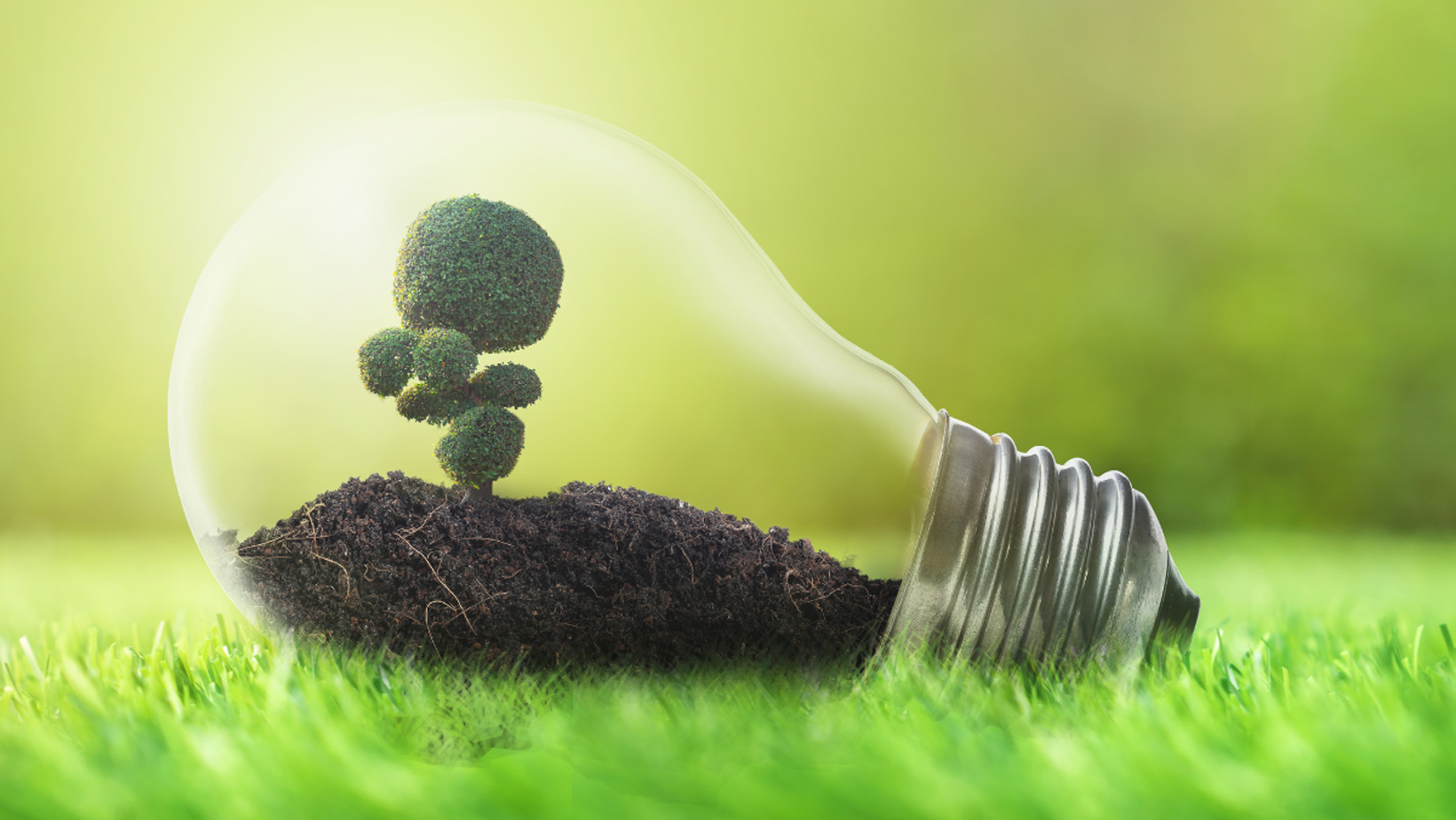 Green Evolution promuove l’iniziativa “M’illumino di meno”